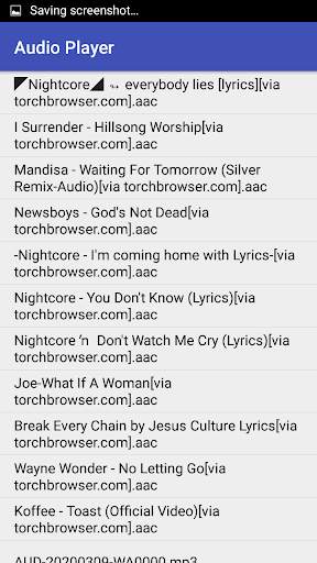 AUDIO PLAYER 2 تصوير الشاشة