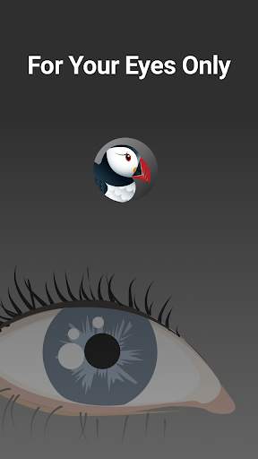 Puffin Incognito Browser screenshot 5
