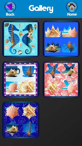 Seashells Photo Collage screenshot 8