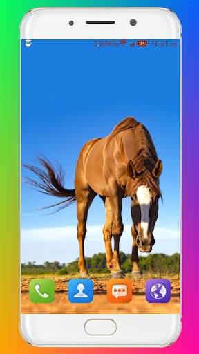 Horse Wallpaper HD screenshot 5