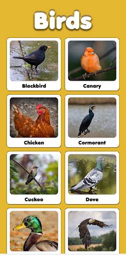 Animal Bird Sounds screenshot 5