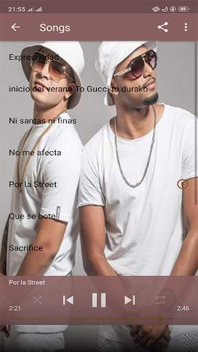 Yomil Y El Dany - the best songs without internet screenshot 4