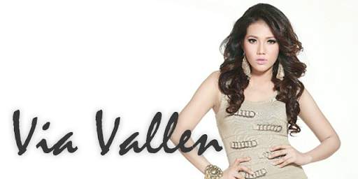 Lagu Via Vallen MP3 Offline   Lirik screenshot 1