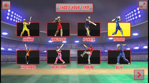 IPL cricket game : Mr IPL T20 screenshot 2