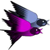 Hungry Birds 2.1