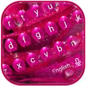 Beautiful Pink Rose Petal keyboard Theme 10001001
