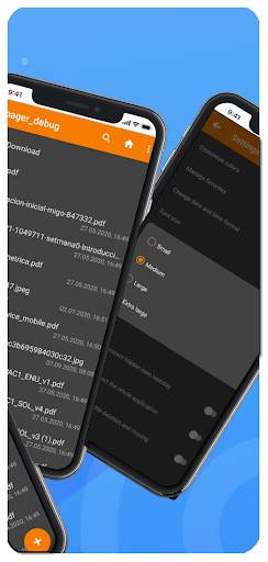 Downloads folder: Organizer tool screenshot 2