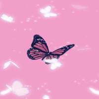Butterfly Aesthetic Wallpaper Offline logo
