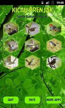 Cisticola screenshot 1