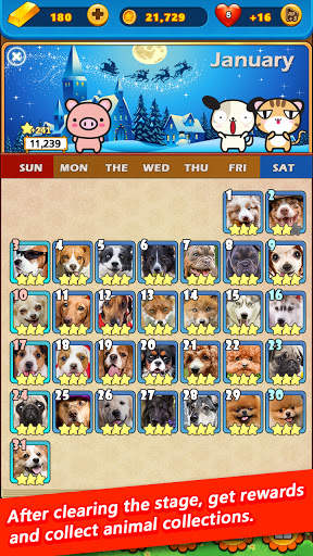 Animal match 3 Puzzle : 2021 Animal Calendar скриншот 5