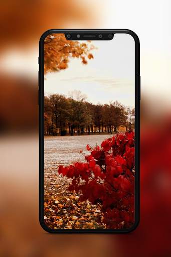 Autumn Wallpaper screenshot 3