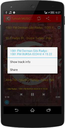 Turkish MUSIC Radio WorldWide screenshot 3