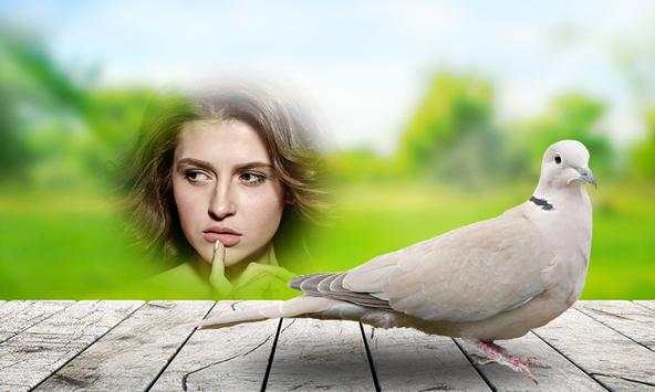 Birds Photo Frames HD screenshot 5