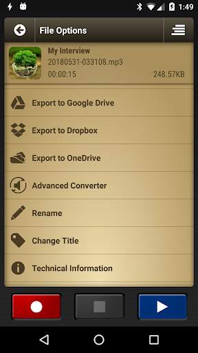 Voice Record Pro screenshot 4
