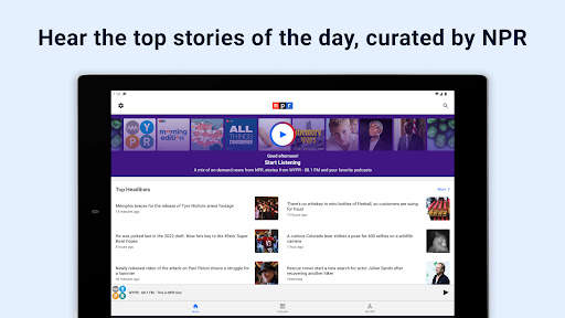 NPR screenshot 12