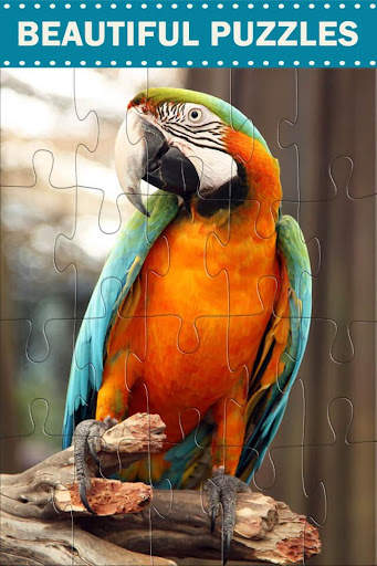 Amazing Birds - Jigsaw Puzzles screenshot 1