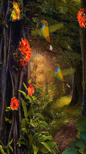 Hummingbirds 3D Live Wallpaper screenshot 1