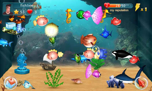 Fish Live screenshot 1