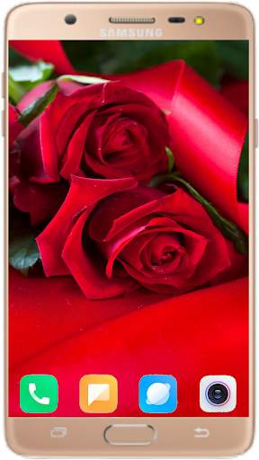 Red Rose Wallpaper 4K screenshot 6
