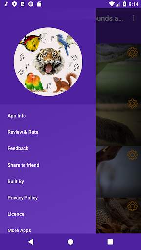Animal, Bird, Insect Sounds and Ringtones screenshot 7