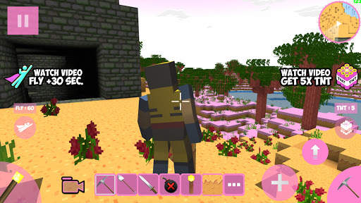 Candy Craft screenshot 6