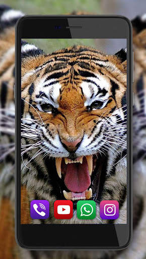 Tigers Live Wallpaper screenshot 6