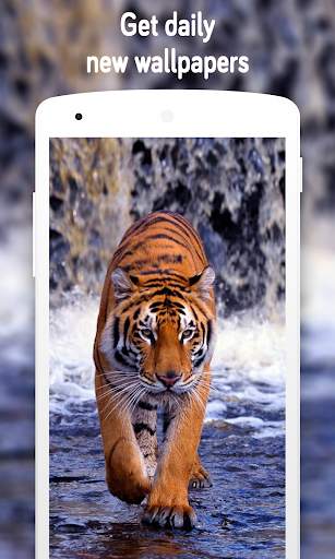 Tiger Wallpaper (4k) screenshot 6