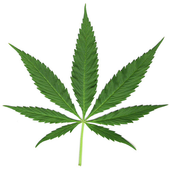 Marijuana´s Game icon