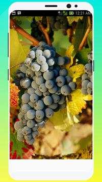 Fresh Fruits Wallpapers HD screenshot 5