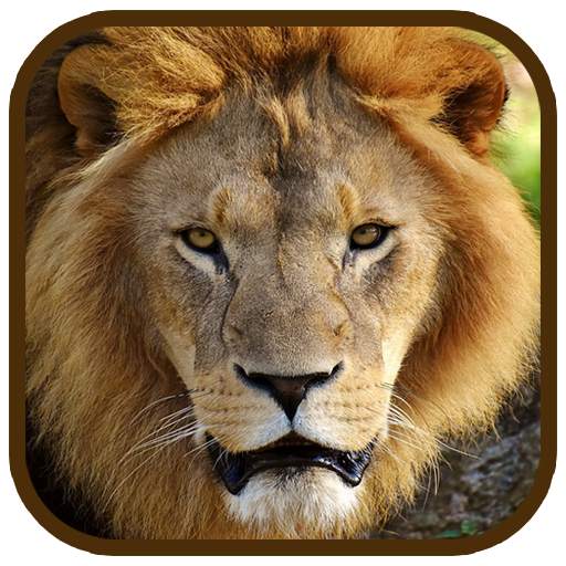 Animal Images App 1.15