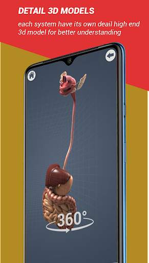 Female Anatomy 3D : Female 3D organs Anatomy screenshot 2