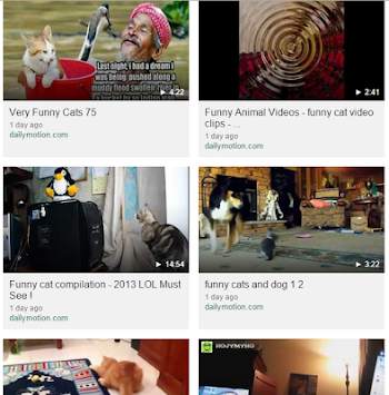 Funny Cat Videos HD screenshot 1