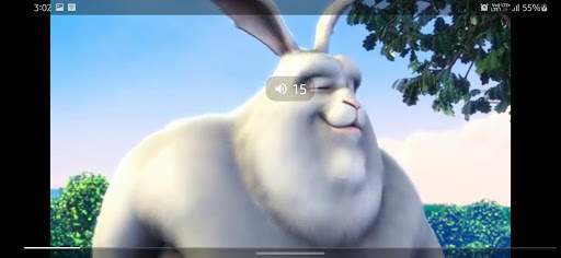 Max Video Player screenshot 4