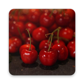 Gardan Photo Editor icon