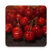 Gardan Photo Editor 1.0