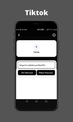 Downloadino - Download posts from social networks screenshot 2