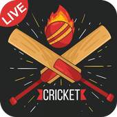 Cricket Live Fast Line 1.3