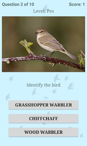 British Birds ID Quiz Pro screenshot 7