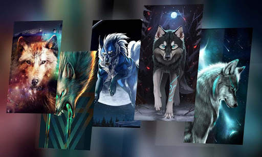 Wolf Wallpaper screenshot 7