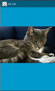 My Cat screenshot 1