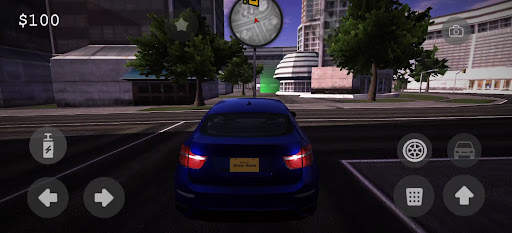 Driver World screenshot 4
