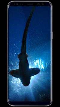 Shark Wallpaper Live screenshot 2