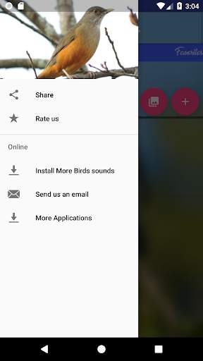 Brazilian's birds sounds screenshot 4