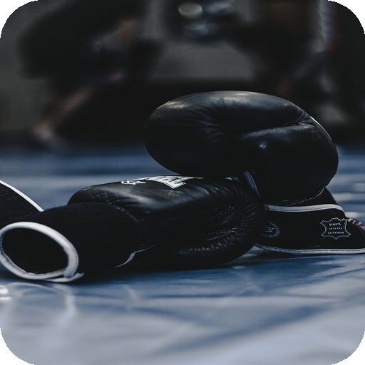 Learn Boxing icon