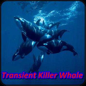 Whale Orca Soundboard screenshot 6