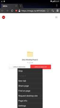 Edius Wedding Projects   Data Free Download screenshot 4