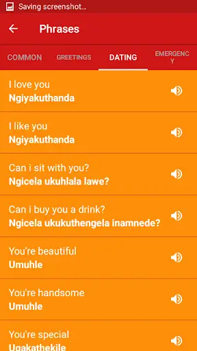 Learn Ndebele screenshot 3