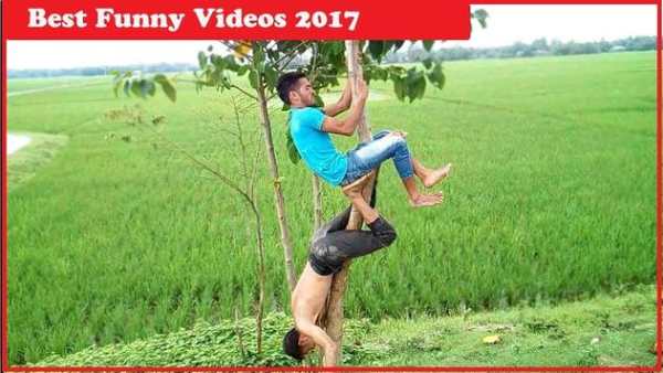Top funny Videos screenshot 1