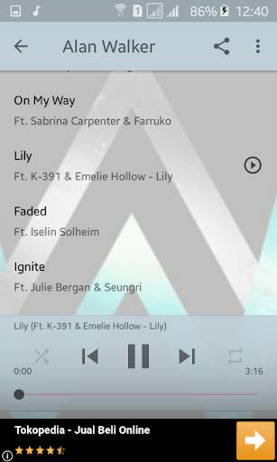 Alan Walker Offline screenshot 4