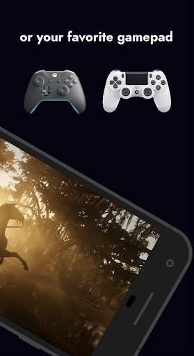Rainway screenshot 5